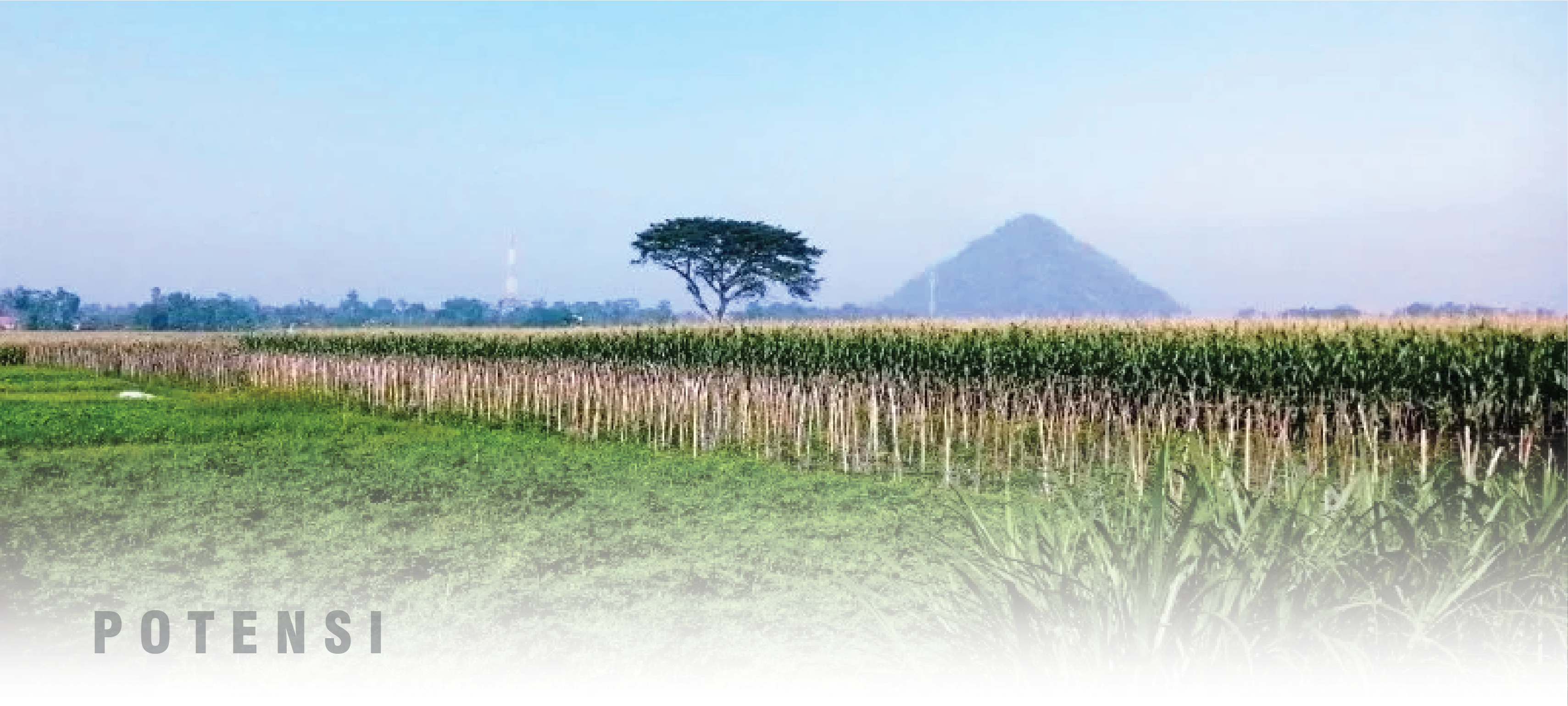 Vodafone Live Nachrichten, Games, Musik Und E-mail